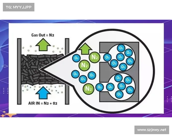 深入解析不同职业特点下的加点技巧与实战应用指南
